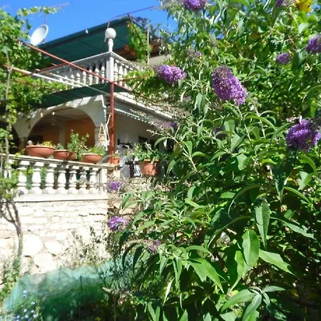 Apartment Mio - 100 M From Beach *